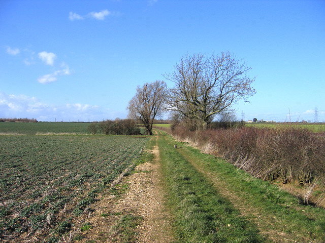 The Danelaw