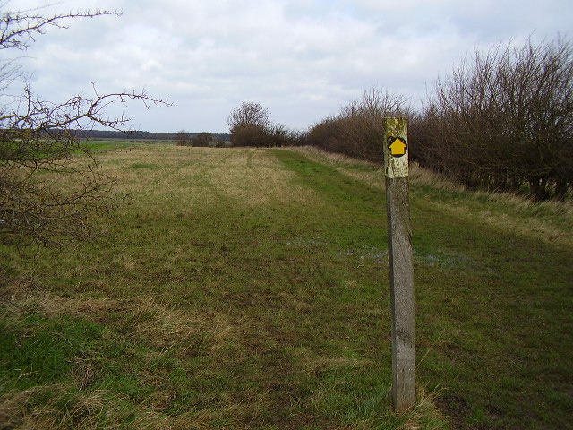 The Danelaw